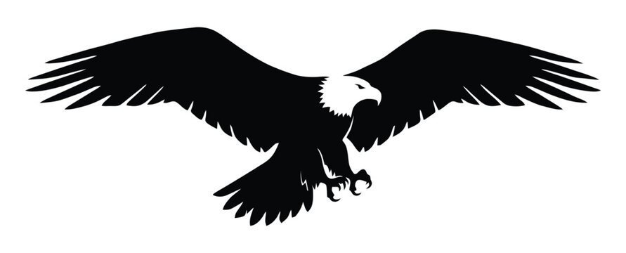 Eagle silhouette vector illustration, eagle icon illustration. Logo of an aggressive eagle with straight spread wings on the sides and looking to the right, an icon in the form of an eagle logo in bla