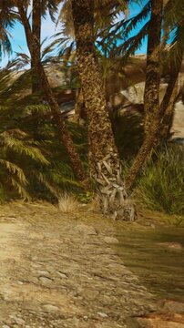 Two palm trees stand near a riverbank surrounded by rocks and grass. Sunlight shines down on the scene, creating a bright view of the nature area. This is a daytime setting.