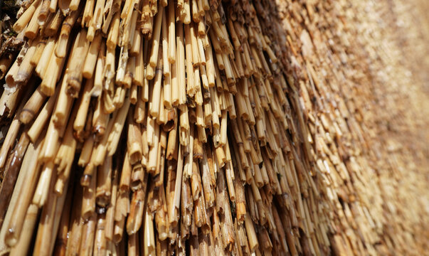 Close-up view of a thatched roof made from dried grass or straw