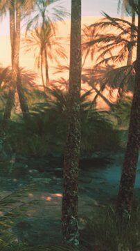 Palm trees frame a view of still water during sunset. The sky shows colors of orange and pink. The scene captures natures beauty as day transitions to night.
