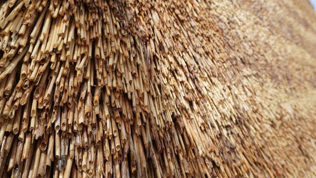 Close-up view of a thatched roof with dry straw or reeds arranged in overlapping layers