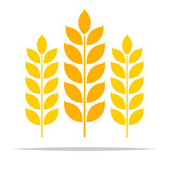 Fototapeta premium wheat flat icon vector isolated illustration