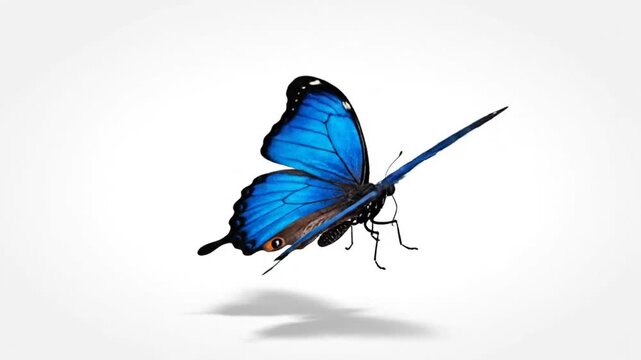 Beautiful blue butterfly gracefully taking flight, showcasing its vibrant wings and delicate features against a clean background