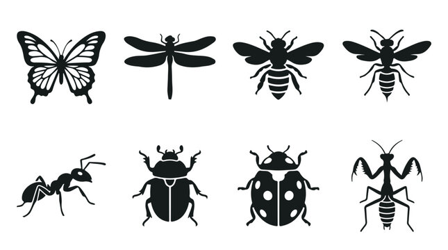 Minimalist insect silhouette icons set, black bug vector collection including butterfly and bee, 8 nature wildlife graphic elements for logos isolated PNG with Transparent Background