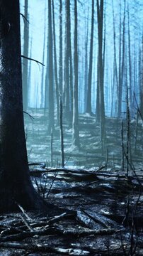 The scene shows a forest with tall trees in a mist. The ground has dark patches and fallen branches, indicating a recent wildfire. The light is soft and creates a haunting view.