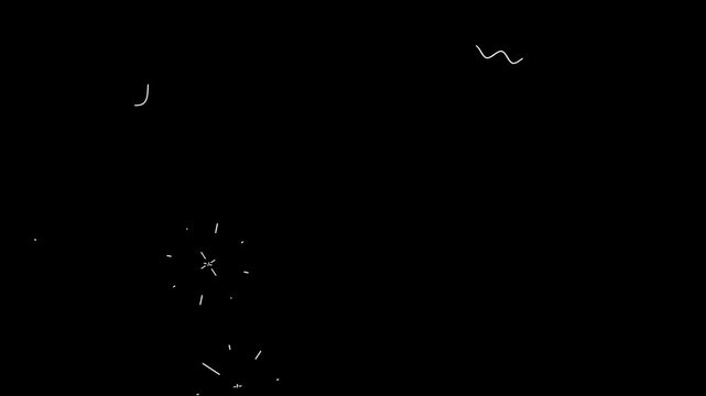 Fireworks explode in a dark night sky to create a festive atmosphere for a public celebration.