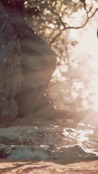 Sunlight filters through trees in a forest. A person stands near a large rock, surrounded by leaves and natural scenery, enjoying the outdoor atmosphere during the day.