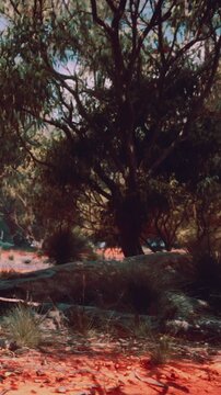 A large tree rises high among green plants under bright sun. The ground is covered with red soil. The setting appears natural and vibrant. Small bushes add detail to the scene.