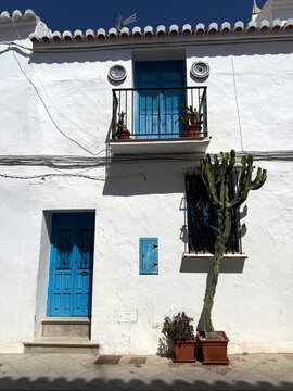 Hausfassade mit blauer T&uuml;r und Kaktus in Frigiliana