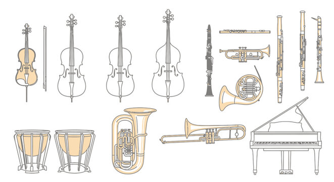 Collection of orchestral musical instruments vector illustration
