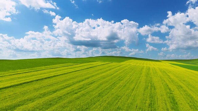 Aerial view of patchwork green-yellow farmlands under blue sky