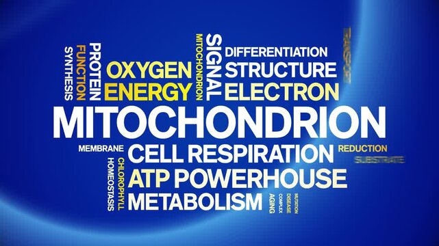 Mitochondrion animated word cloud-gross domestic product animation tag kinetic typography seamless loop.