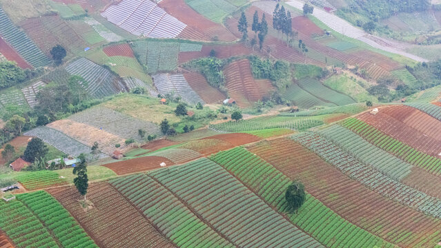 Aerial view of terraced agricultural fields with vibrant green and brown soil patterns, small huts, and scattered trees on a hillside in West Java, Indonesia.