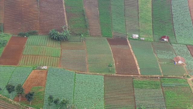 Aerial view of terraced agricultural fields with diverse crop patterns, small huts, and lush green vegetation in the highlands of West Java, Indonesia.