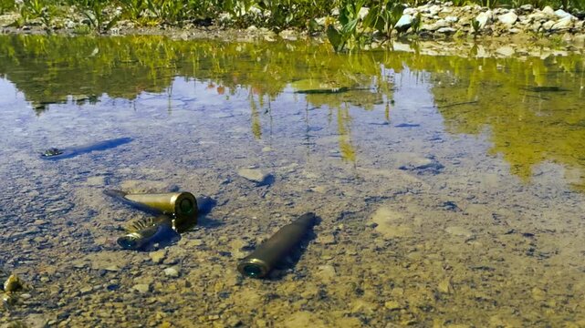 Spent high caliber bullet shell casings resting at the bottom of a clear, shallow puddle with a muddy bottom, creating reflections of the surrounding green grass on a bright, sunny day