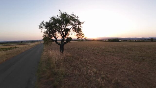 coucher de soleil d'&eacute;t&eacute; sur les lavandes et la campagne de Provence - Valensole