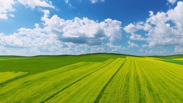 Aerial view of patchwork green-yellow farmlands under blue sky