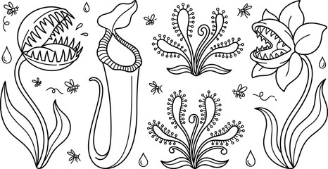 Carnivorous Plants Collection Featuring Venus Flytrap and Pitcher Plant with Swarming Insects for Educational Coloring Books and Nature Vector Graphics © EdGe Creative
