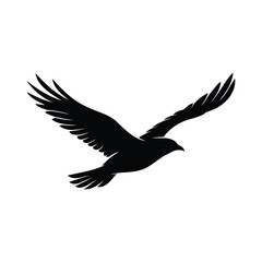 Fototapeta premium Black silhouette of majestic eagle flying with spread wings isolated on white background.