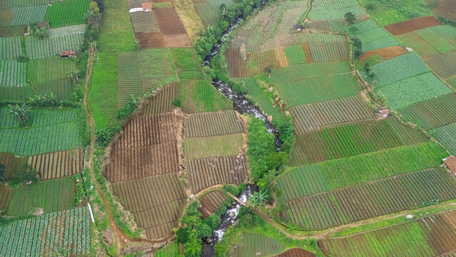 Aerial view of terraced agricultural fields and vegetable plots divided by a winding river in the lush landscape of West Java, Indonesia.