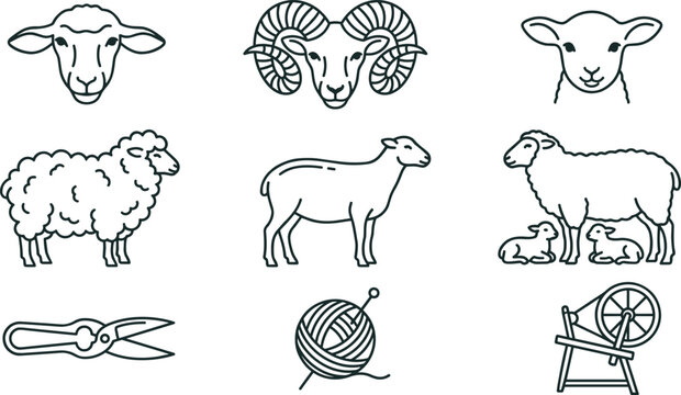 Sheep and Wool Production Line Icon Set Featuring Ram Lamb Ewe Shearing Scissors Yarn Ball and Spinning Wheel for Textile Industry Designs