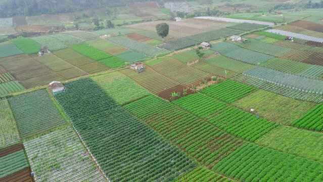 Aerial view of vibrant agricultural fields with diverse crop patterns, small farmhouses, and lush green vegetation in the rural landscape of West Java, Indonesia.