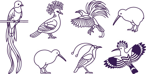 Exotic Bird Outline Collection Featuring Bird of Paradise Kiwi Hoopoe Peacock Pheasant and Tropical Wildlife Vector Illustration Set © MstSuborna