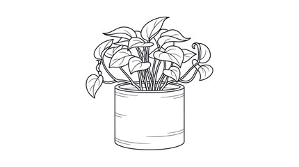 Potted Pothos Plant Line Art Illustration © Naswi