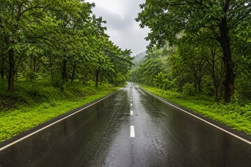 Obraz premium Rainy asphalt road through lush green forest landscape