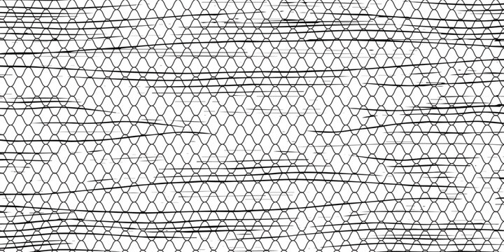 Black snake skin pattern isolated on white background eps 10