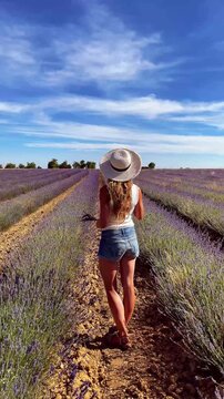 Back view of female tourist in shorts and straw hat standing in purple lavender field under blue sky