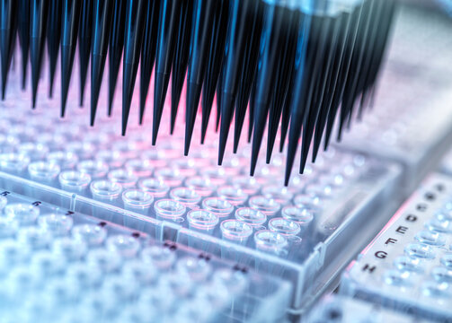 Analysis of samples in microplates by automation robotics