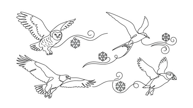 飛翔する鳥の線画イラストセット、フクロウ、カモメ、ワシ、パフィンを含む4種類の鳥のベクターコレクション、自然と自由を象徴するデザイン素材