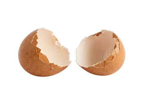 Broken brown egg shell halves on a surface