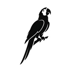 Fototapeta premium Elegant Vector Silhouette of an American Parrot with Majestic Tropical Style