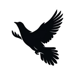 Fototapeta premium A Dynamic Motion Silhouette of an American Pigeon Mid Flight from Rural Farmland.jpeg