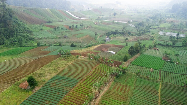Aerial view of terraced agricultural fields with small huts and lush green hills in West Java, Indonesia.