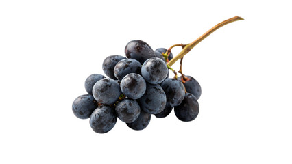 Bunch of fresh sweet dark blue grapes berry crop isolated on transparent background © Hanna