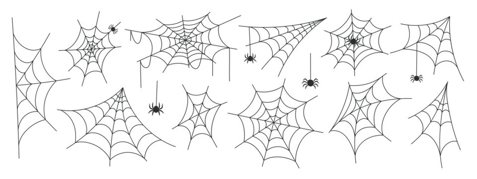 Halloween spider web set with black outline cobweb and hanging spider collection. Corner and triangular spiderweb shapes with small spider arachnid on white background. Flat vector illustration