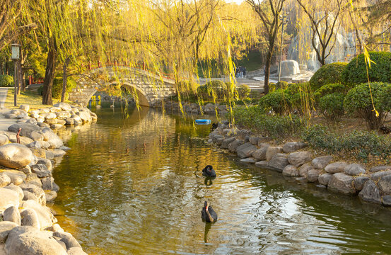 Beautiful view of Tang Paradise park and lake at twilight in Xi'an, China.