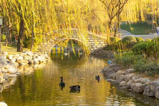 Beautiful view of Tang Paradise park and lake at twilight in Xi'an, China.