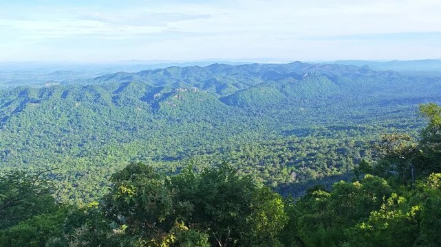 The longitudinal mountains and the   forest 