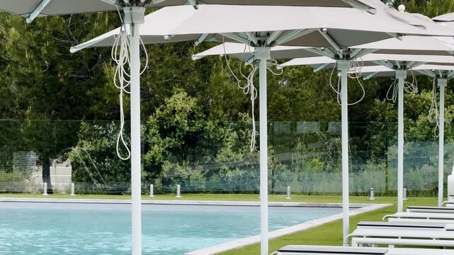 Resort pool with white parasols, sun loungers and Mediterranean pine shrubs near Aix-en-Provence, creating a calm luxury hotel scene.