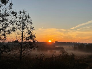 Fototapeta premium Golden sunrise over misty forest and rural landscape with glowing horizon, peaceful morning countryside, scenic nature background with trees, fog and warm sunlight
