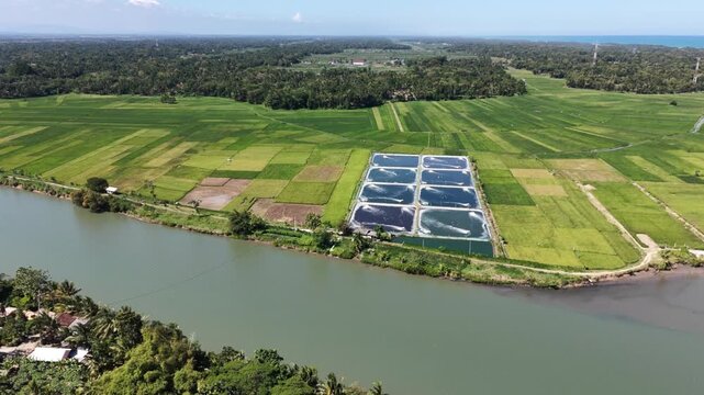 Aerial View of shrimp pond Over Farmland located in Kebumen Indonesia