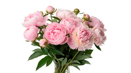 Beautiful bouquet of fresh pink peony flowers bunch florist decoration isolated on transparent background © novik-png