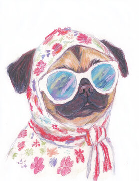 Pug dog wearing a white headscarf adorned with a repeating pattern of delicate pink, purple, and green,and in white oval sunglasses