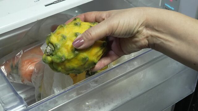 A person reaches into a fridge crisper drawer and lifts a yellow dragon fruit from a plastic bag among other stored produce.