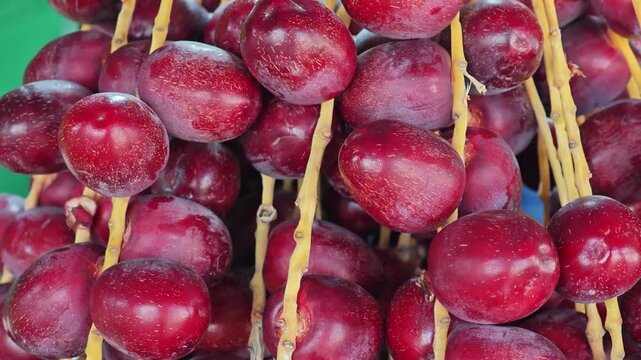 Ripe red date palm fruits