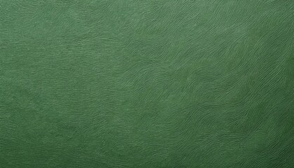 Fototapeta premium Sage Green Paper Texture